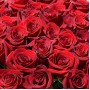 Букет С праздником ХИТ из 11 роз